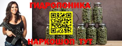 стафф Будённовск