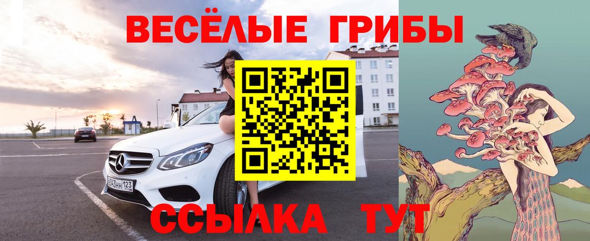 Псилоцибиновые грибы мухоморы Семилуки