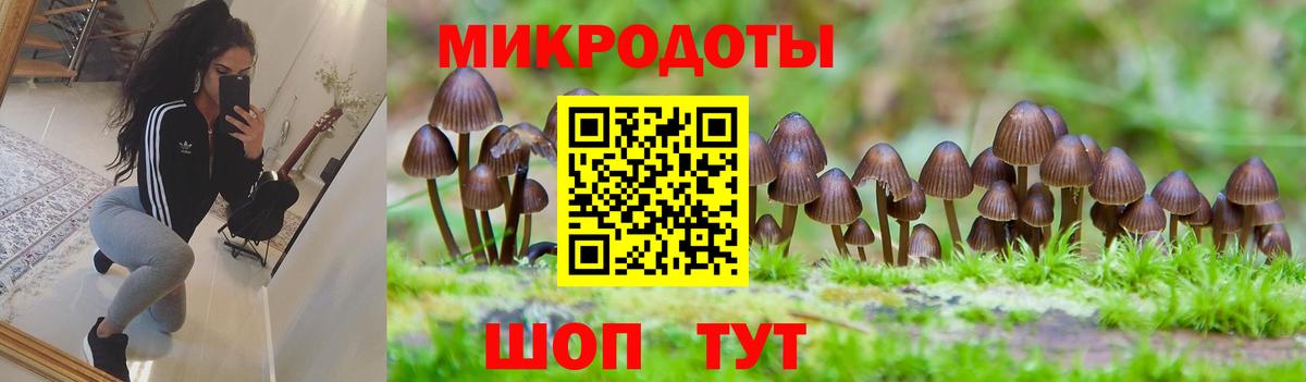Семилуки  Галлюциногенные грибы Psilocybine cubensis  Галлюциногенные грибы мухоморы  Вход с VPN 