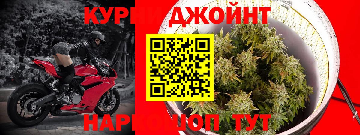Конопля Bruce Banner  Вход с VPN  Марихуана конопля  Семилуки  Канабис VHQ 